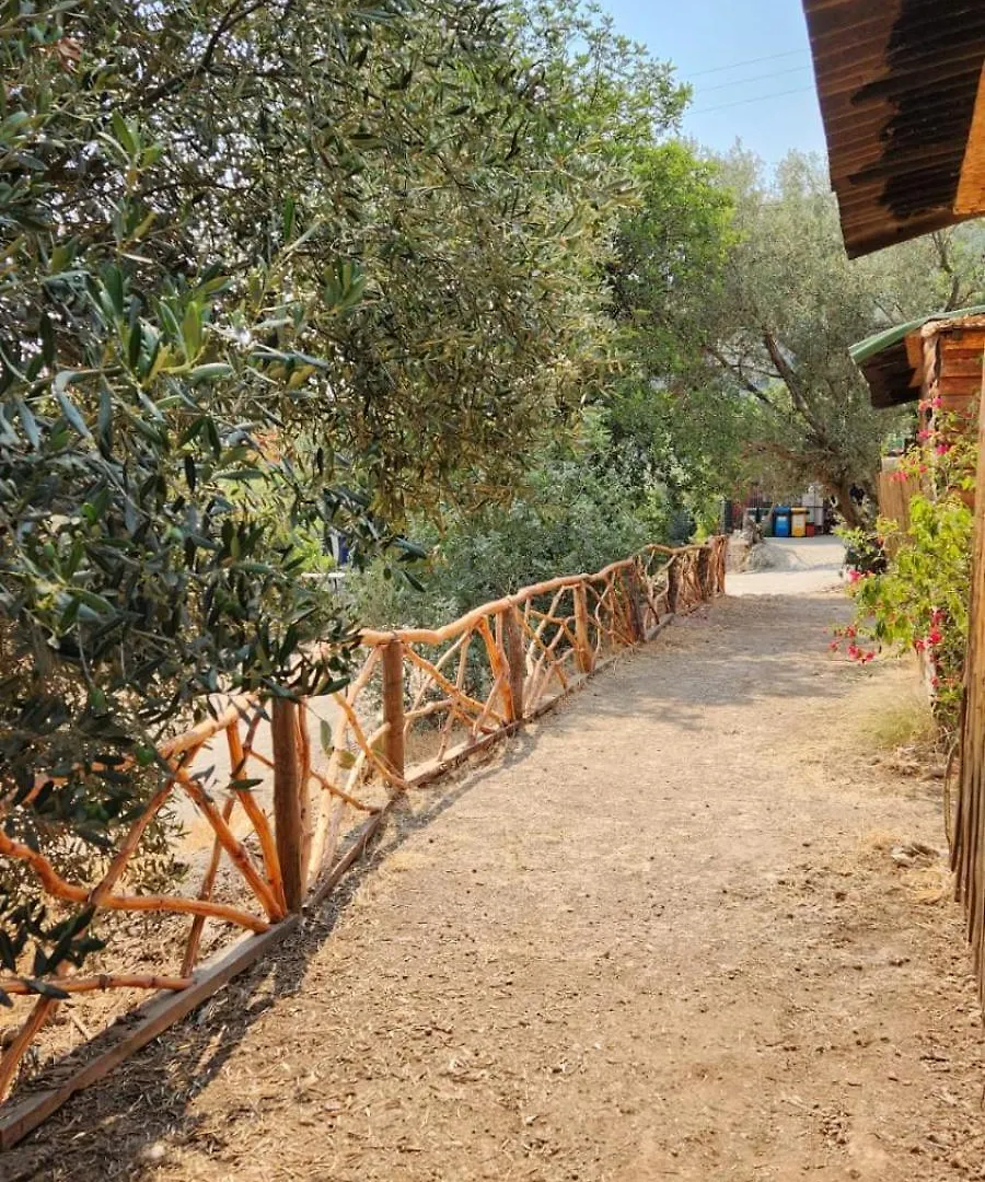 Zion Bungalov Bed & Breakfast Fethiye Turkey