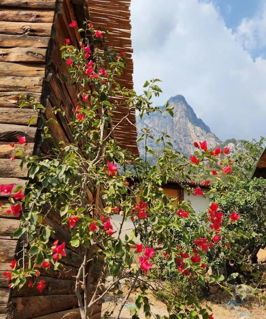 Kabak Nova Camp Bungalovs Fethiye