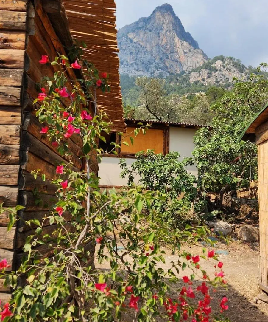 Kabak Nova Camp Bungalovs Fethiye