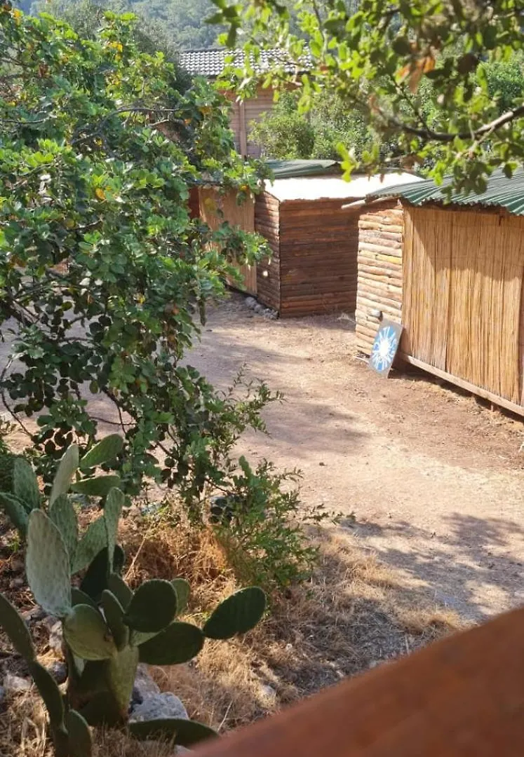 Kabak Nova Camp Bungalovs Oda ve Kahvaltı